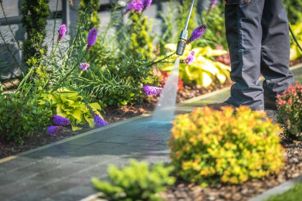 Trusted Florin, CA Pressure Washing Services Experts